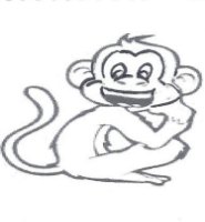 Animals - This is a monkey