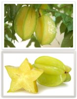 AM – ĂM – ÂM - The Star Fruit Tree Vietnamese Folktale