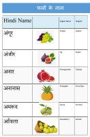 Fruits in Hindi