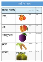 Fruits in Hindi