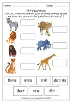 Recognise the pictures of the animals and write their name