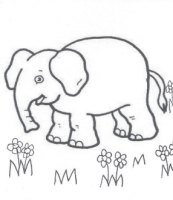 Animals-Elephant activity