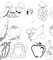 Categorising fruits and vegetables- worksheet