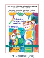 Books for students with amblyopia (lazy eye) 