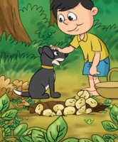 Ammu's Puppy: Learn Punjabi with subtitles - Story for Children "BookBox.com"
