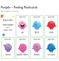 Feelings Flashcards in Punjabi
