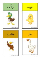 Birds Vocabulary Cards