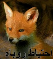Fox short story in Dari