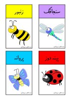 Insects Vocabulary Cards