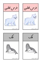 Polar Animals Vocabulary Cards
