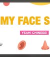 My Face Song in Mandarin Chinese