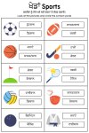 Sports Worksheet